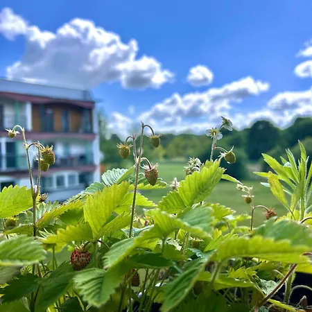Apartamento 200m Od Morza - Spokój, Cisza, Zieleń, Hamak Sopot