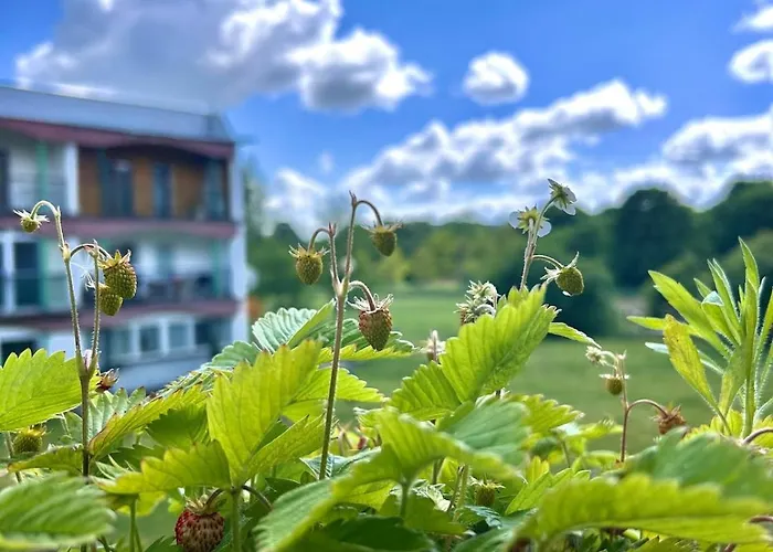 Apartman 200m Od Morza - Spokoj, Cisza, Zielen, Hamak Sopot